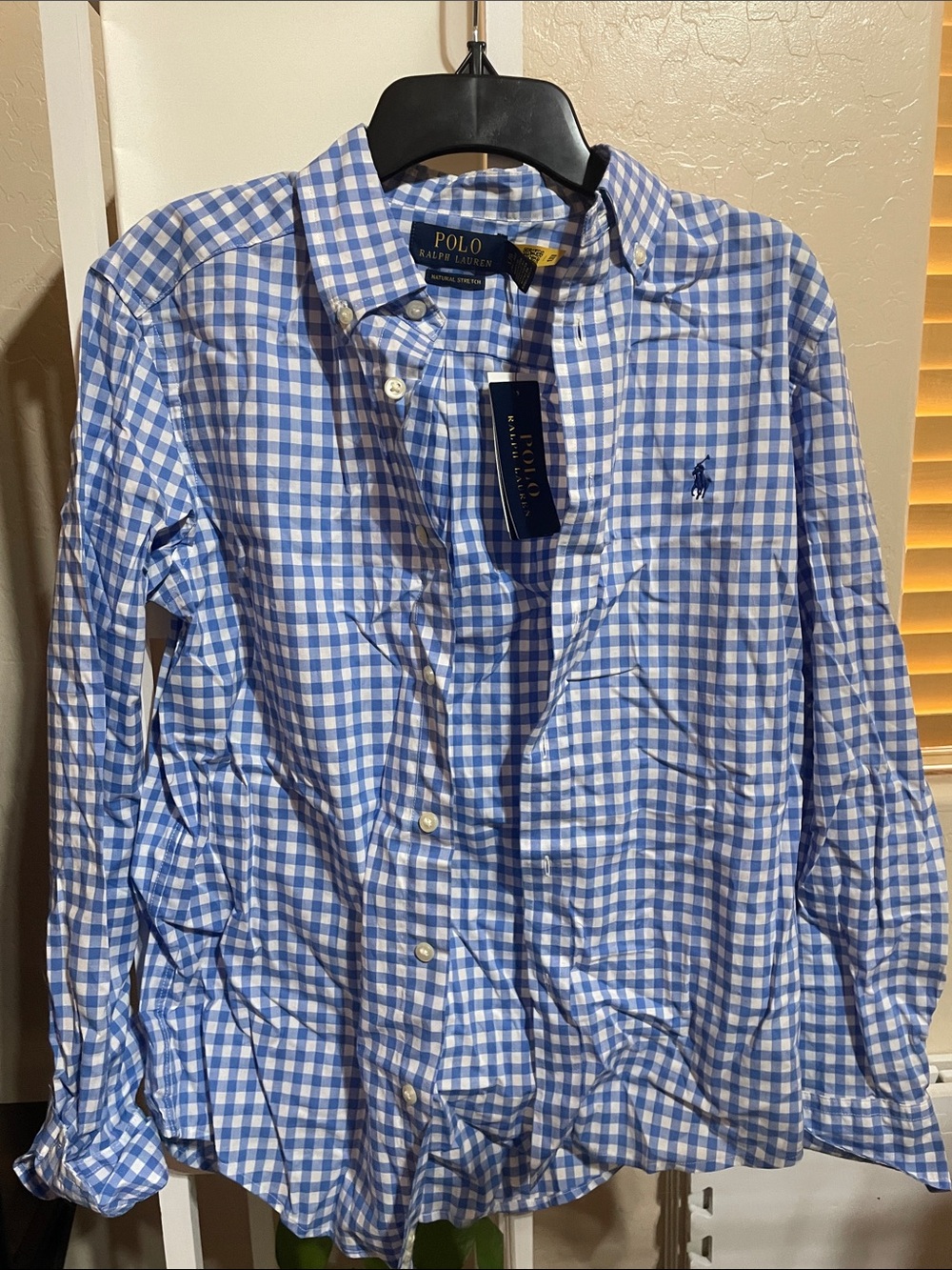 Polo by Ralph Lauren Blue and White Gingham Button-Down Shirt